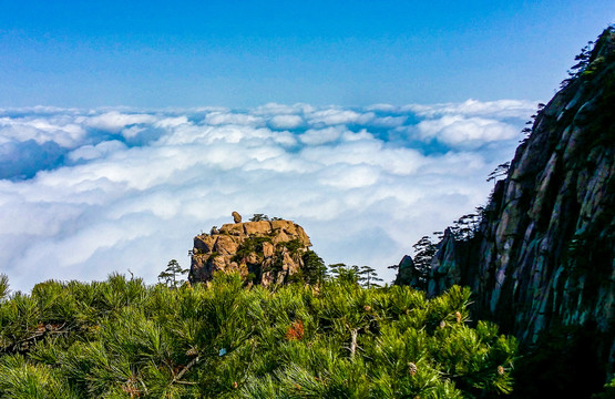 黄山云海