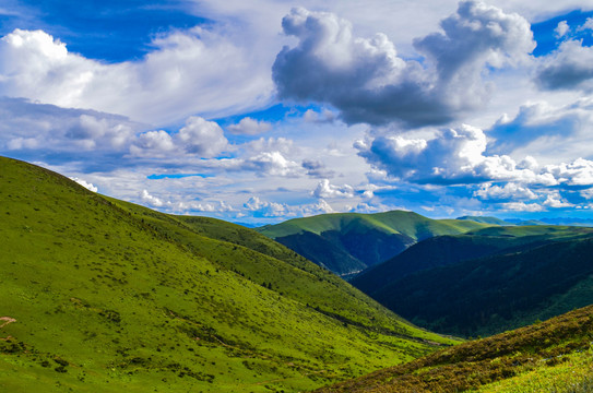 卡子拉山风景区