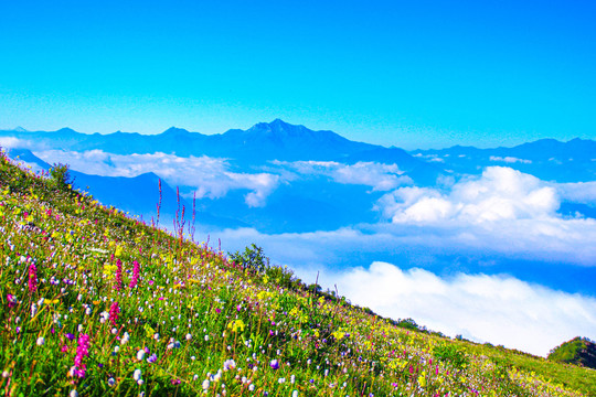 九顶山风光