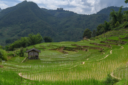 梯田山地