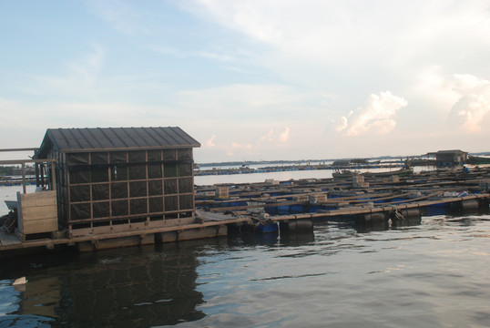 渔港养殖