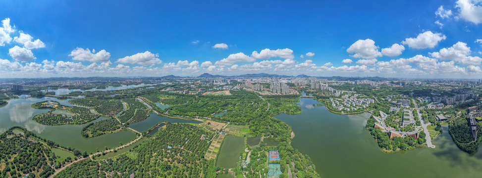 松山湖生态景区