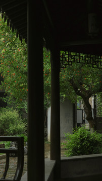 园林石榴花夏天下雨天