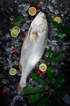 东海米鱼