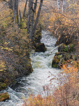 秋季森林小河溪流山泉