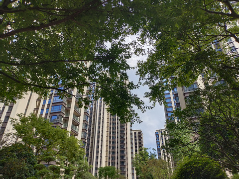 城市风光