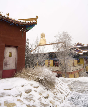 雪景