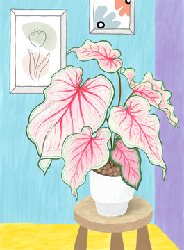 彩叶芋粉色飞溅手绘插画