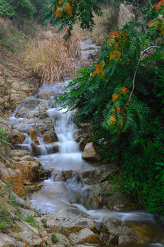 山间小溪