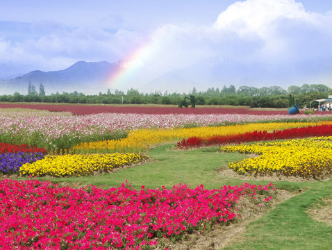 花海