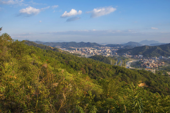 山坡风景