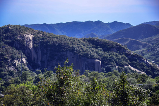 青山