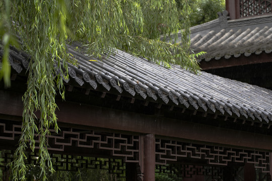 传统建筑绿荫长廊