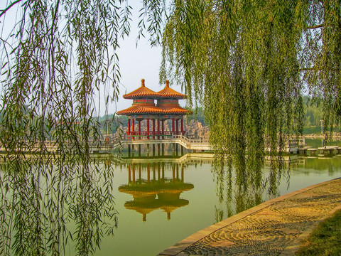 中国国花园