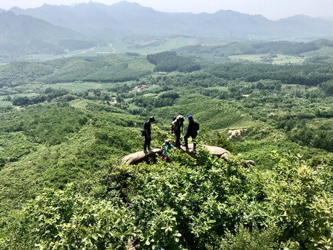 万绿山中入翠微