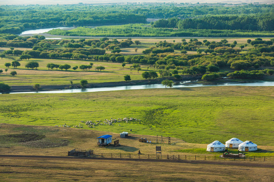 湿地草原蒙古包羊群