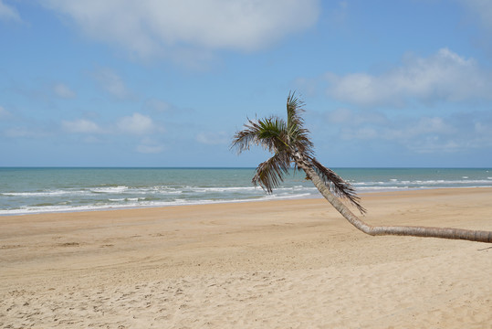 鼎龙湾海边美景