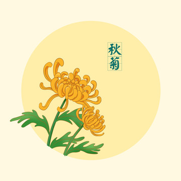 菊花