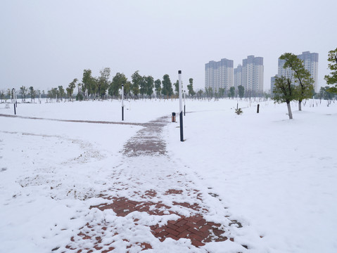 雪景