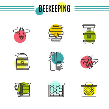 缤纷养殖蜜蜂图标