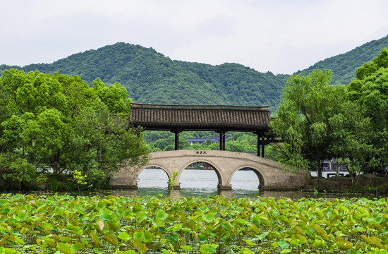 湘湖採莲桥