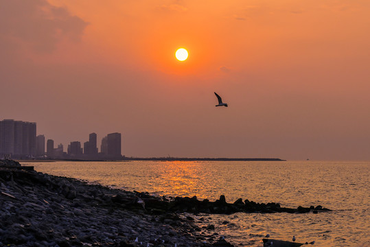 海上日出