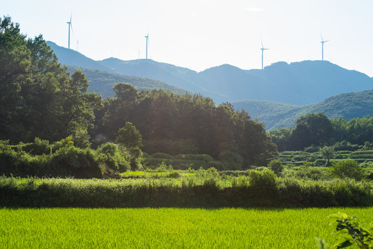 荆门圣境山滑翔伞基地