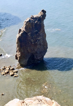 大连排石湾小熊望日