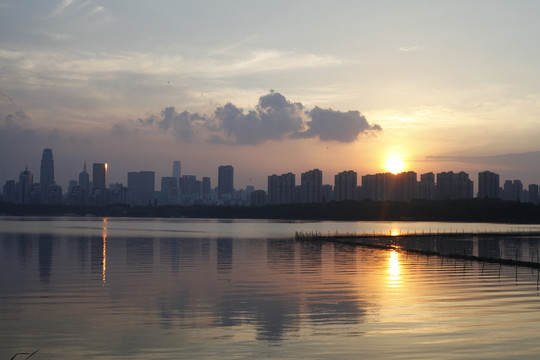 金色湖面