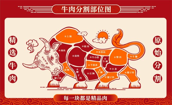 牛肉部位分割图