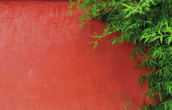 绿竹红墙