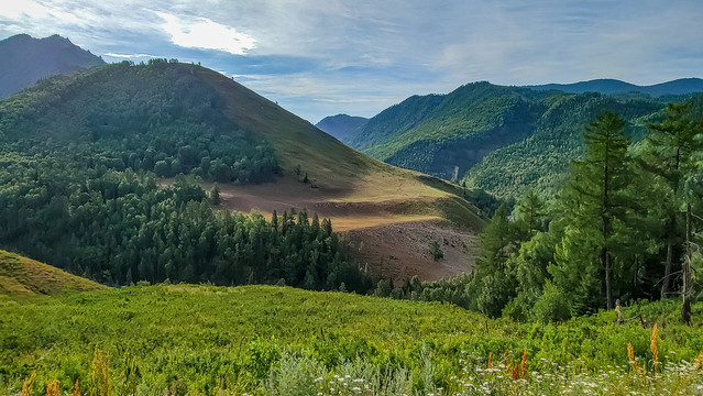 中国新疆喀纳斯景区风景