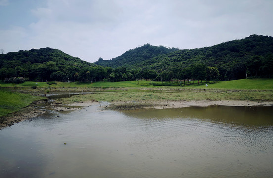 池塘自然景色