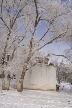 雪景