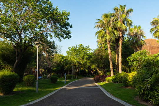 城市公园步道景观