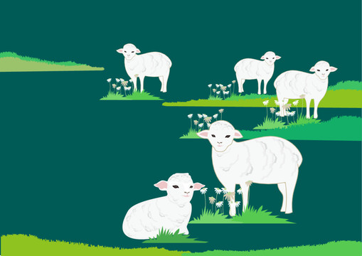 羊插画羊群