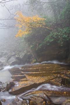 高山流水