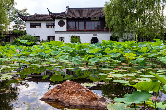 北京园博园庭院风景