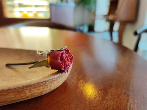 浪漫小玫瑰