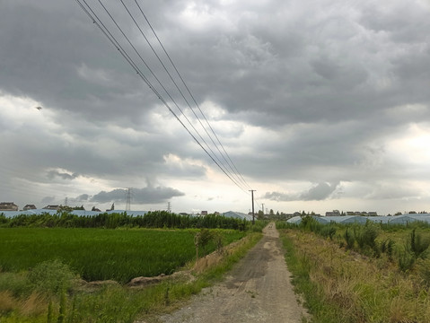 台风天乡村路