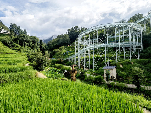 核桃箐旅游