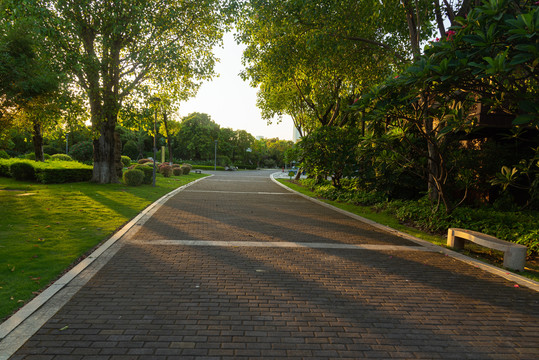 城市公园步道景观