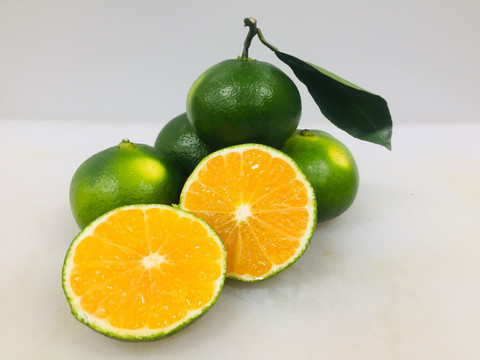 蜜橘