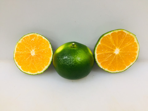 蜜橘