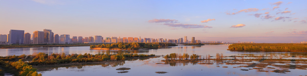 哈尔滨湿地全景