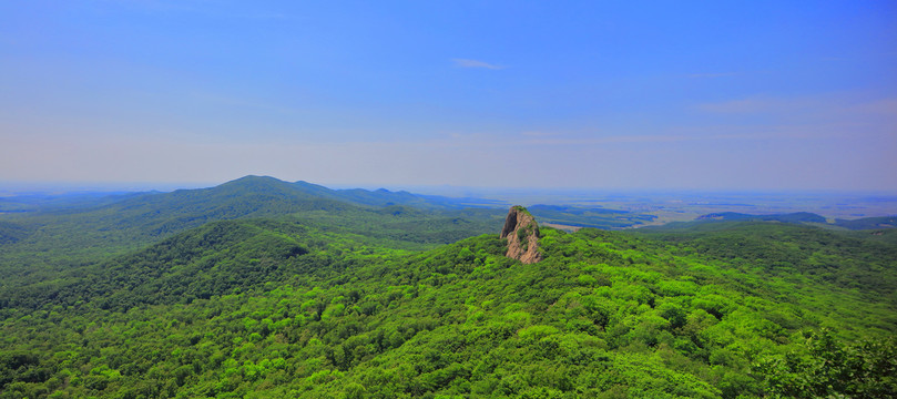 青山绿色