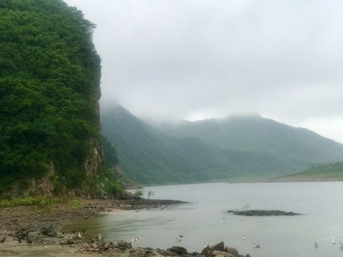 天地苍茫数只鸭