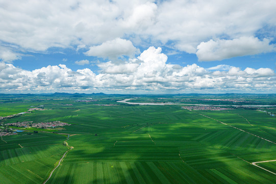 农田庄稼地