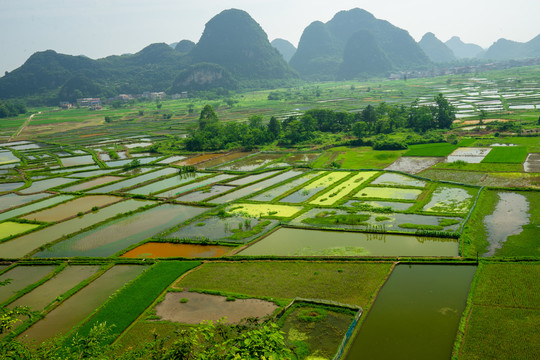 美丽乡村