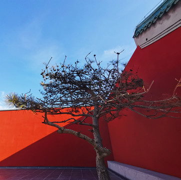隆福寺红墙
